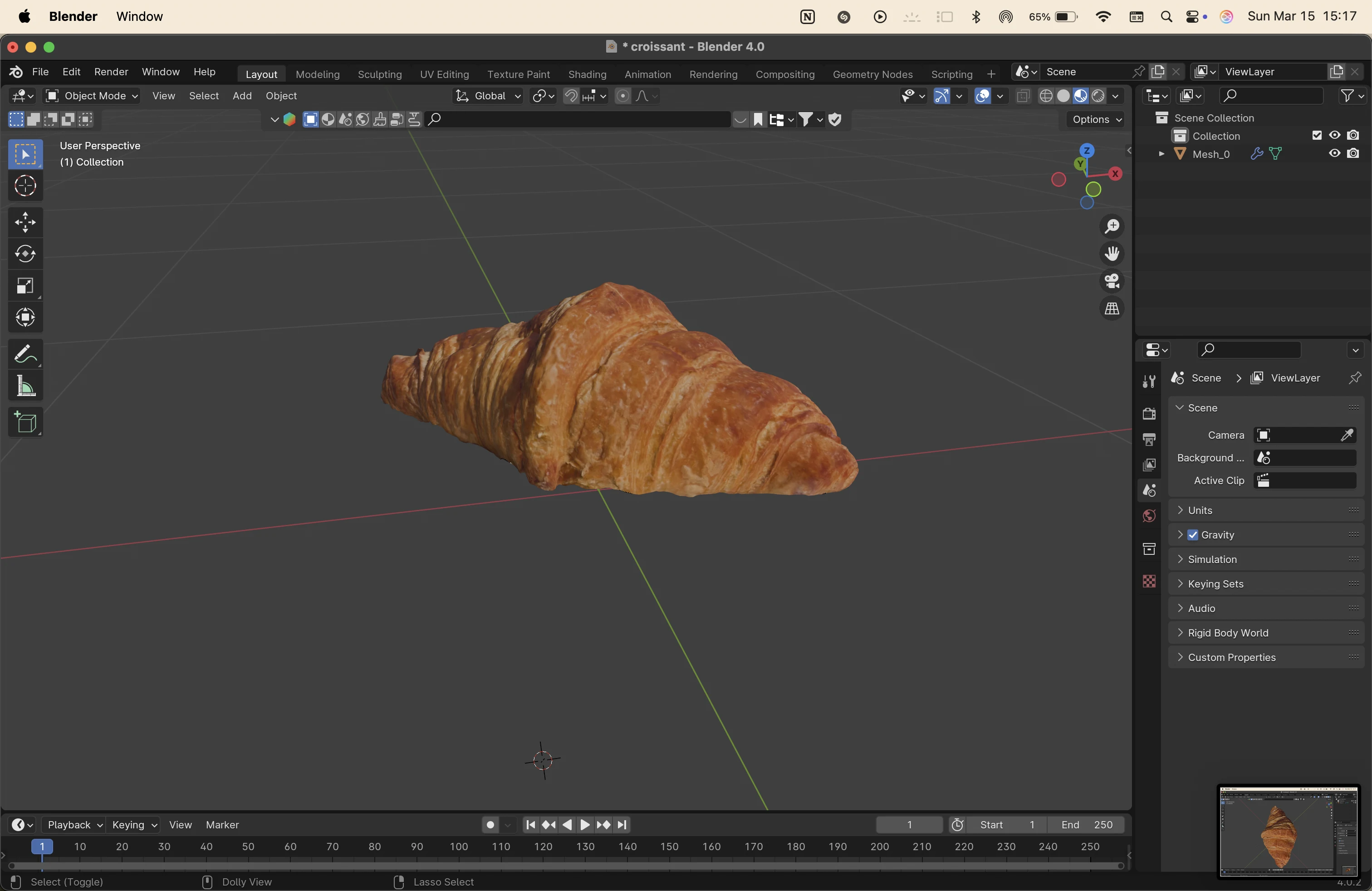 Rhino 8 - vector drawing
