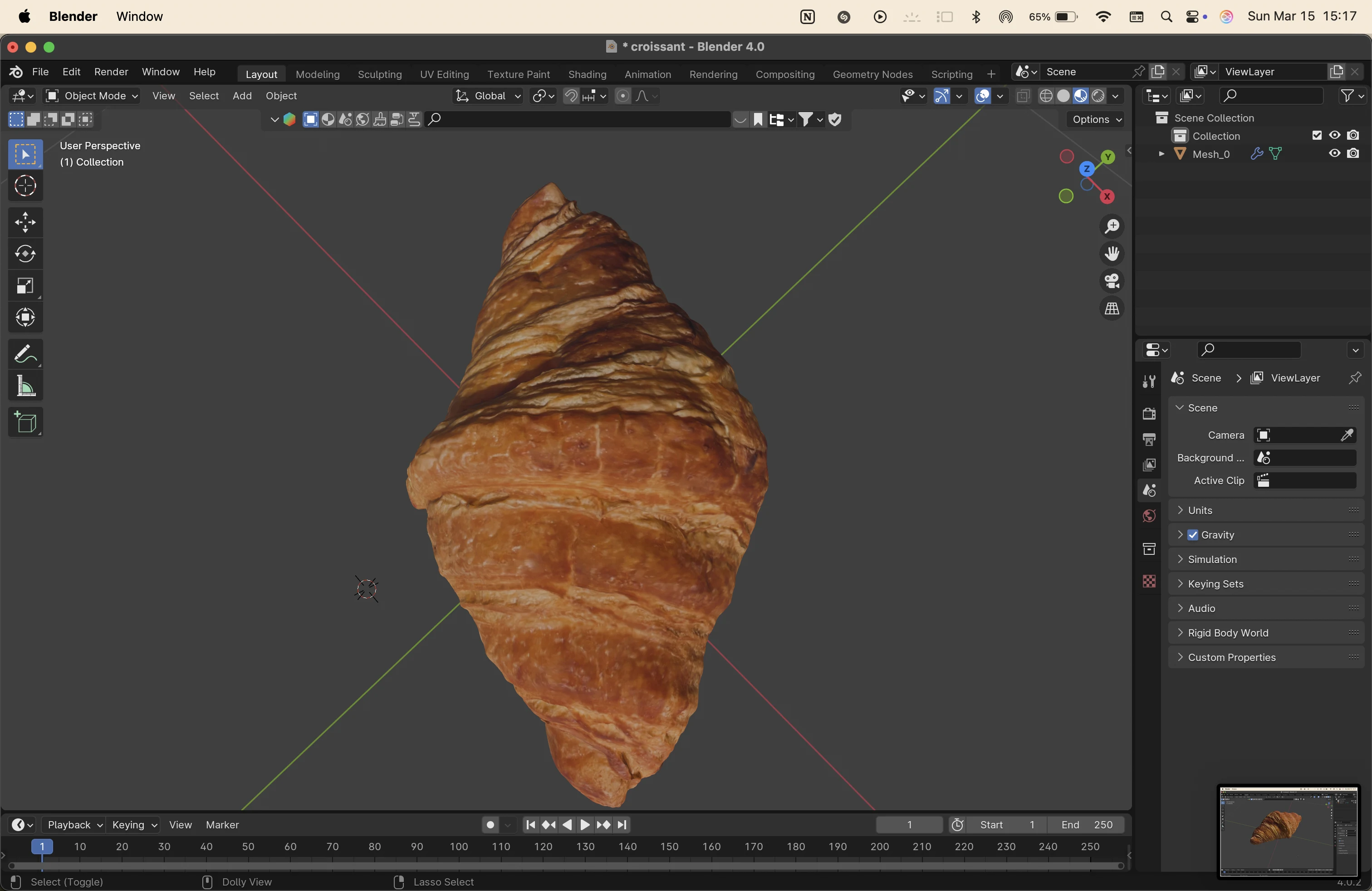 Rhino 8 - vector drawing