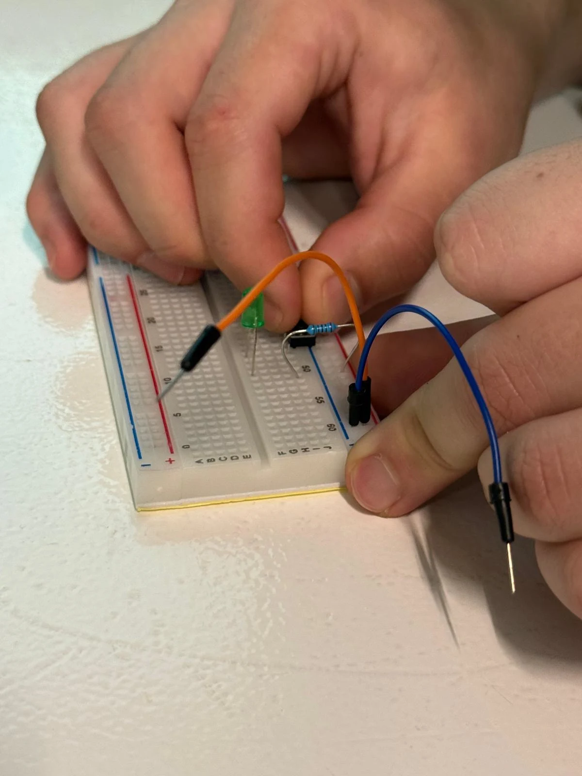 Rhino 8 - vector drawing