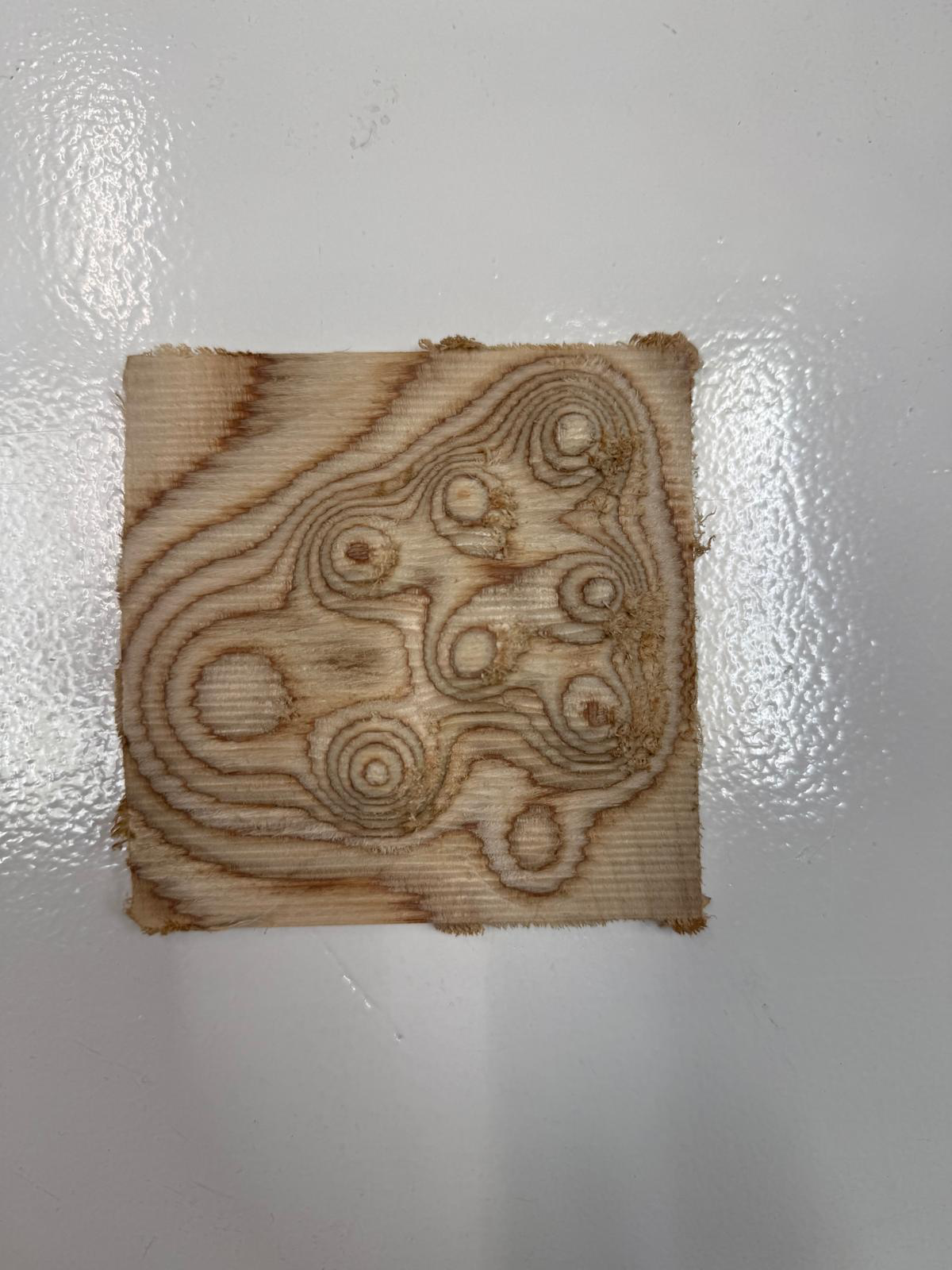 Rhino 8 - vector drawing 63