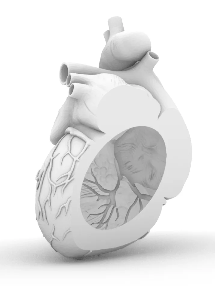 Rhino 8 - vector drawing 61