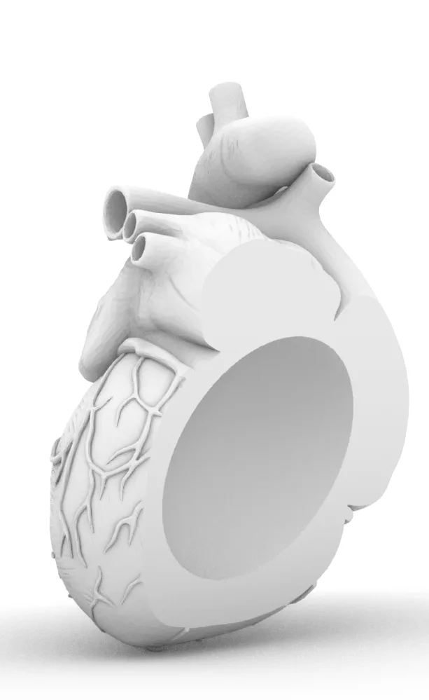 Rhino 8 - vector drawing 61