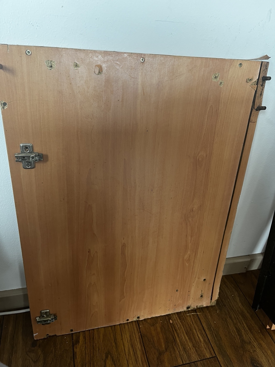 Original damaged cabinet panel