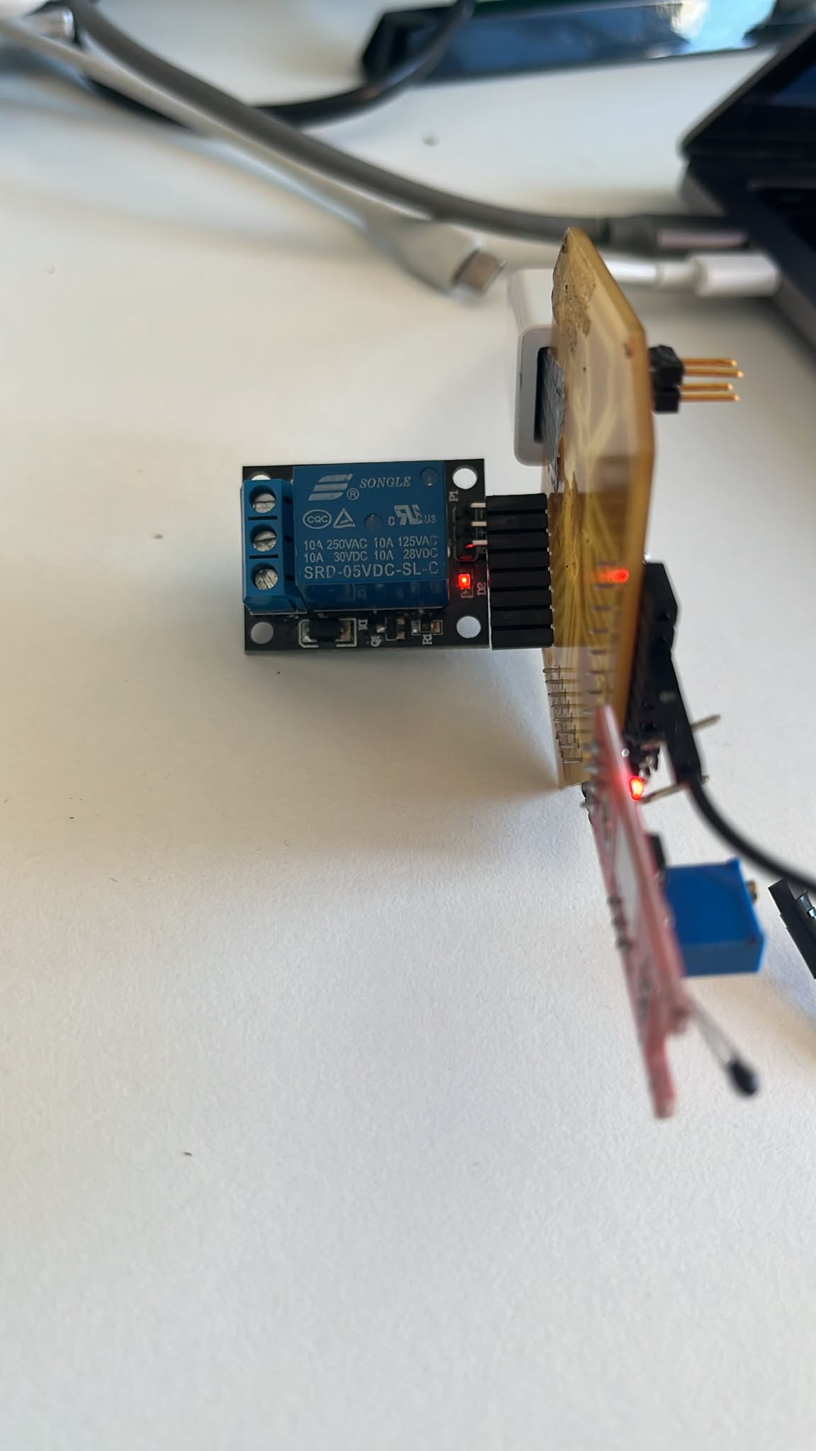 Relay blinking test