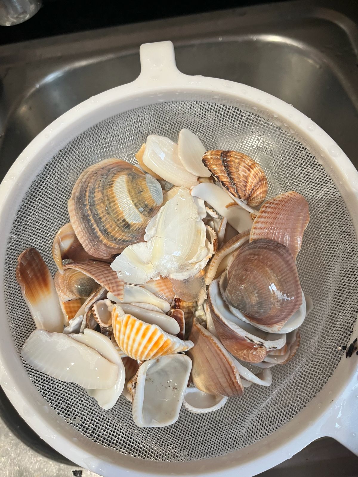 Foraging