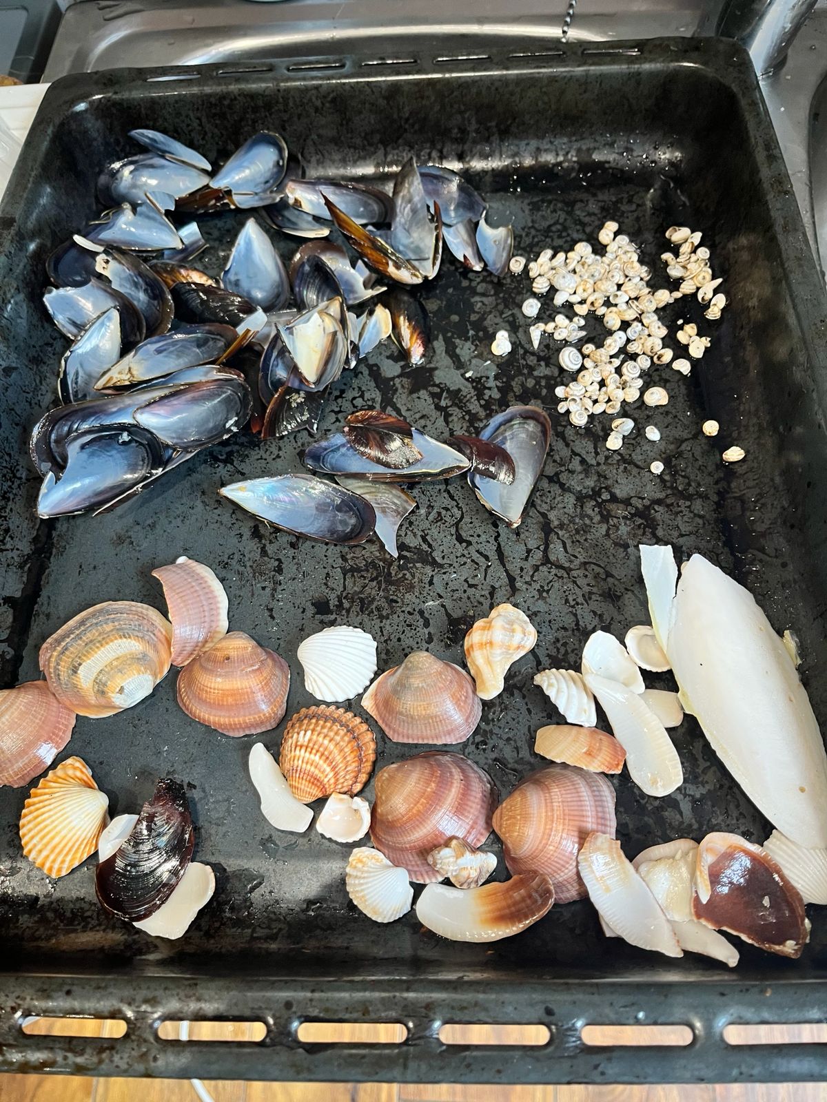 Foraging