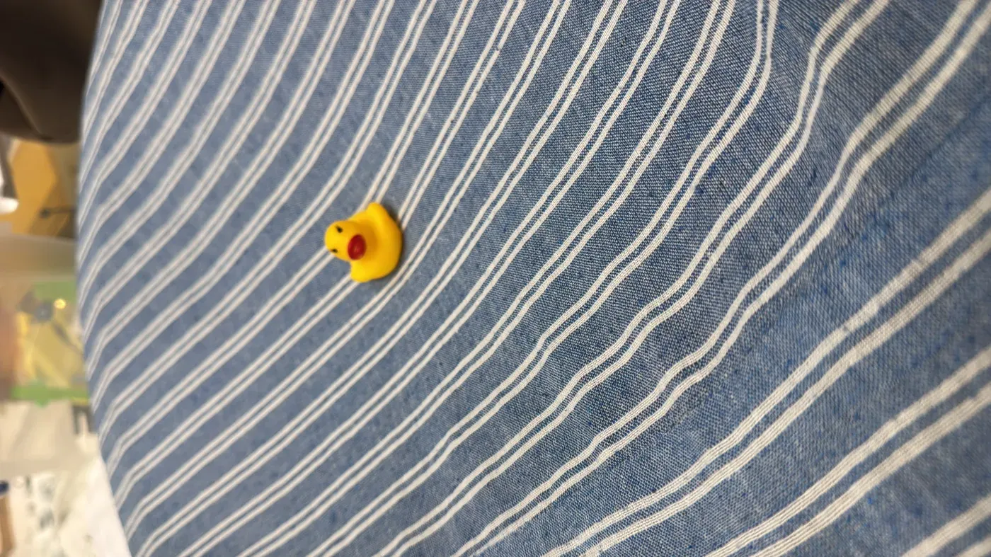 A rubber duck resting on the blue striped cloth stretched across the ring — the 'sea' surface