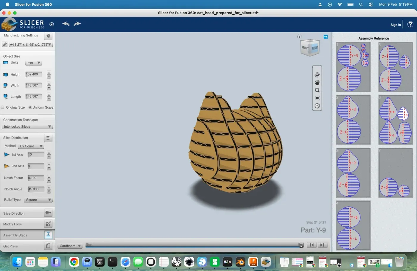 Cat in Slicer 3D view
