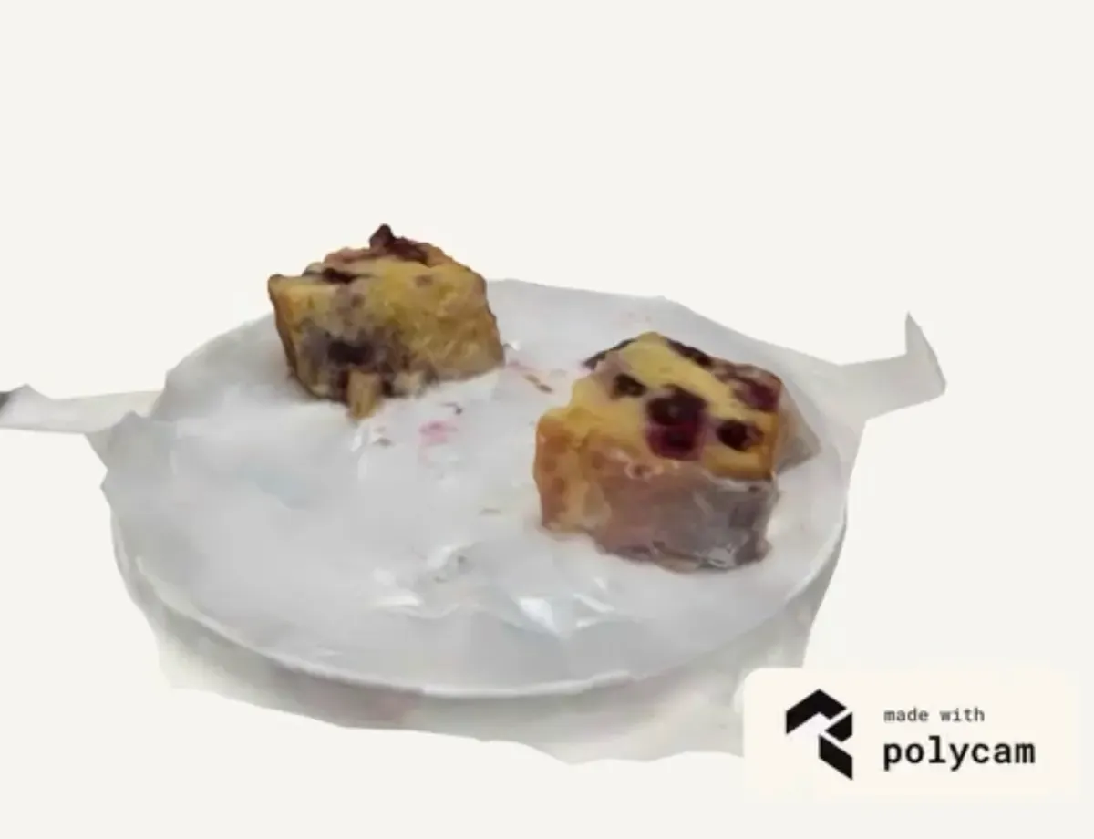 Polycam photogrammetry scan of pastries on a plate