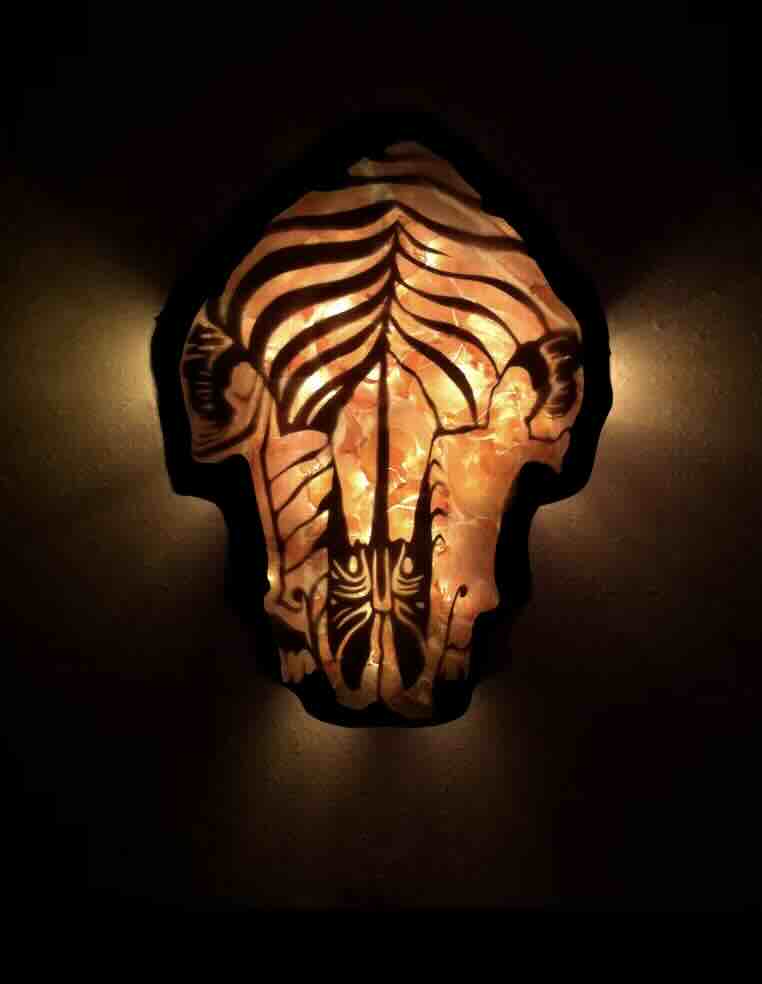 ../images/about/skull_small.jpg
