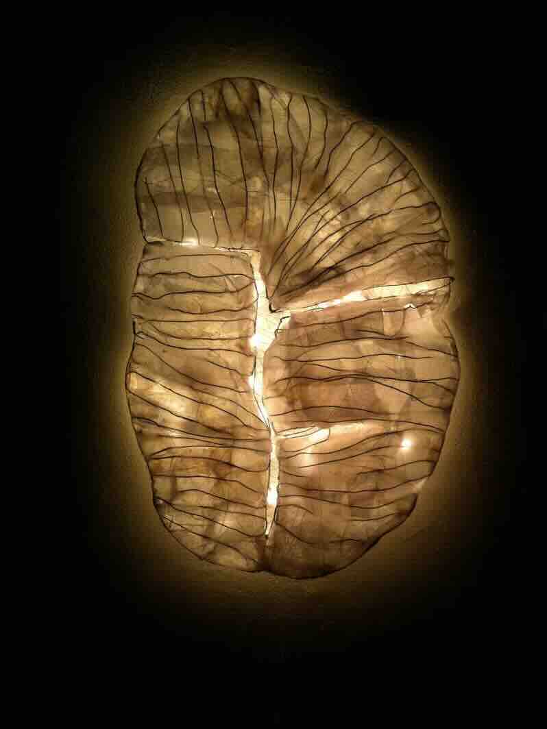 ../images/about/trilobite_small.jp