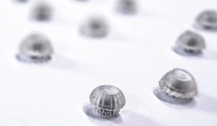 Wireless induction LED prepared for a translucent jellyfish print