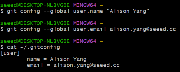 Git config name and email