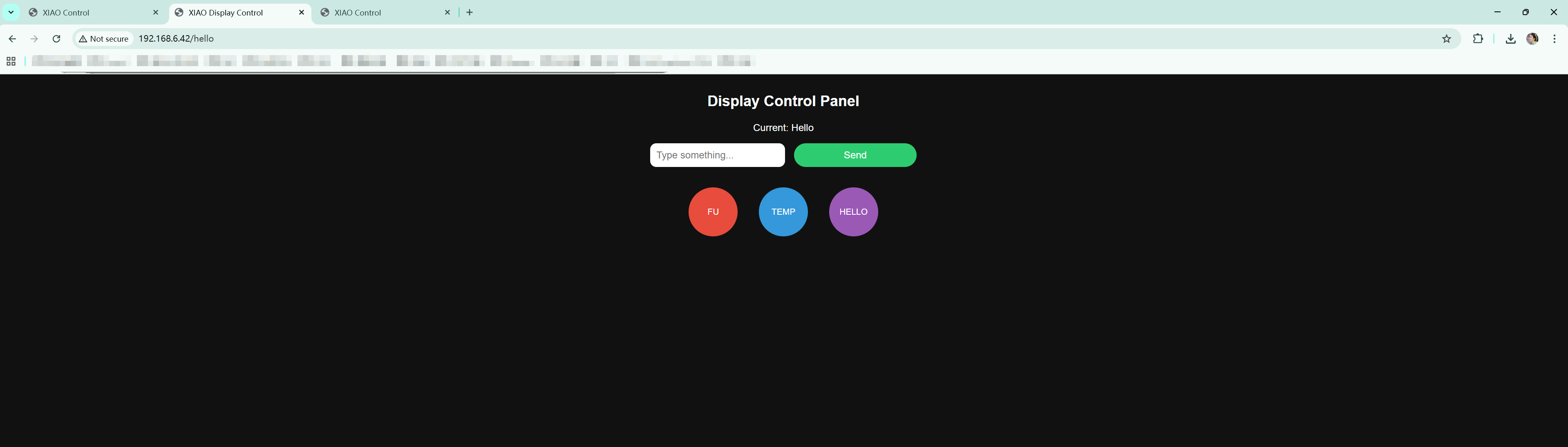 Later web iteration: “Display Control Panel” with presets and manual text entry
