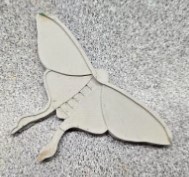Luna Moth demolded