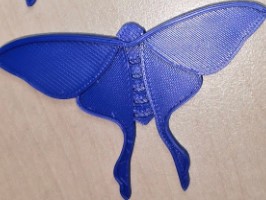 Changes to my design based on my testing observations