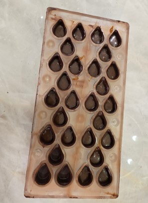 Professional mold ready for the fridge