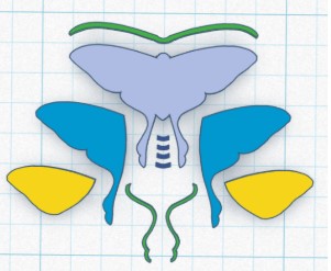 The different parts made in TinkerCAD