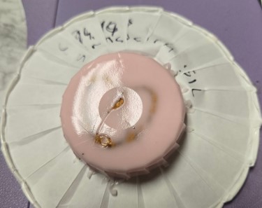 A pretzel casted in Smooth-Sil 940