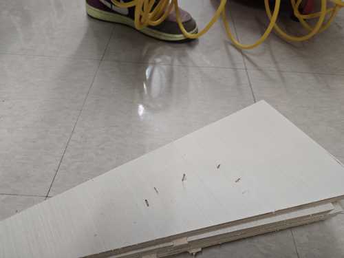 Test brads fired into scrap pieces at various pressures