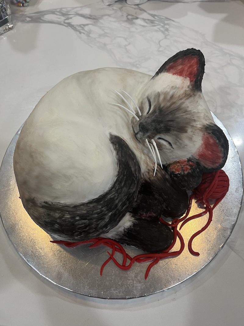 cat cake