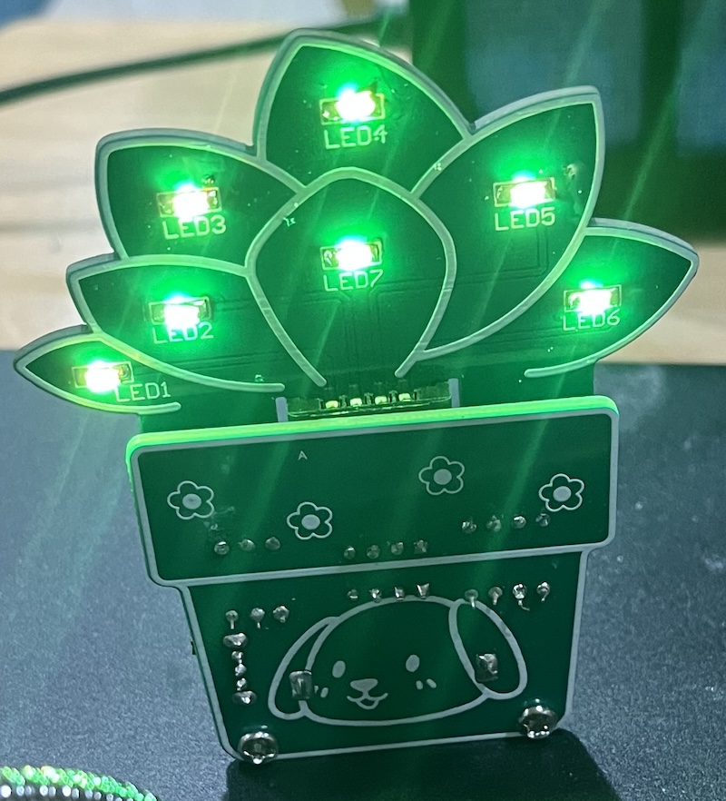 image16-succulent-lights-up