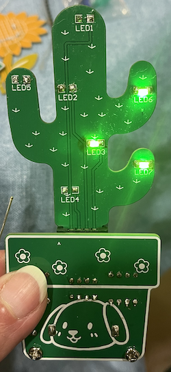 image17-final-solder-of-cactus