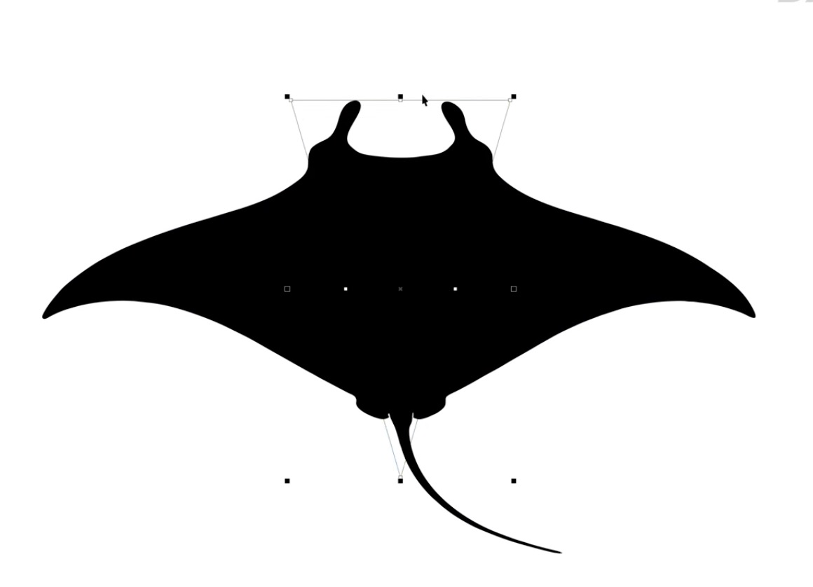 mantaray