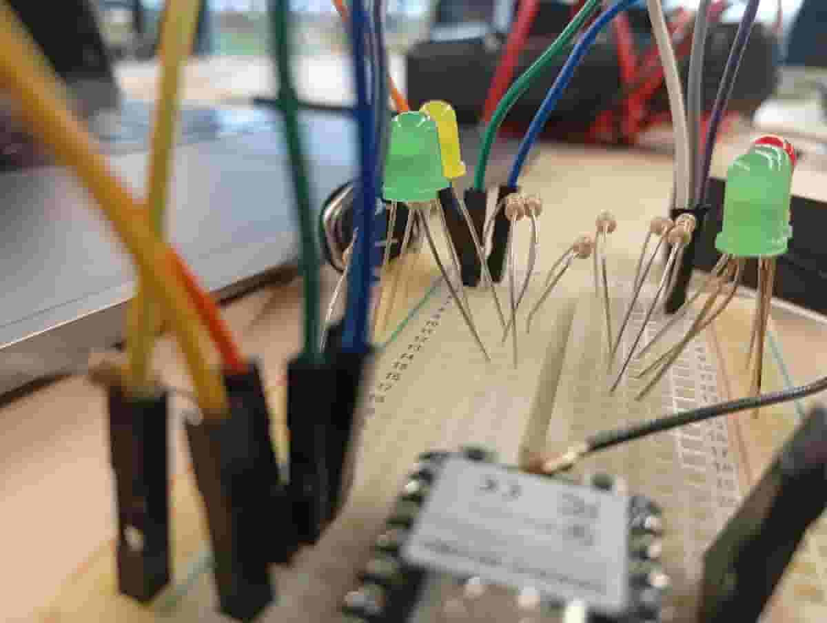 Arduino Short Jungle