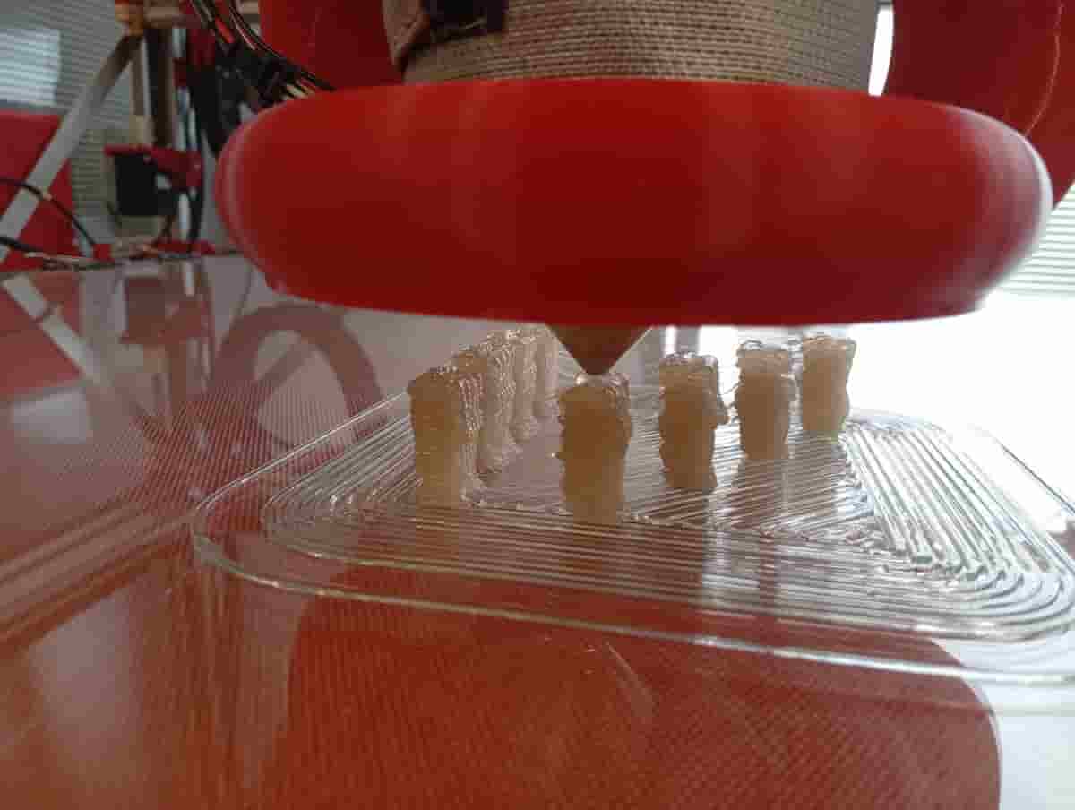 Bridge File Screenshot