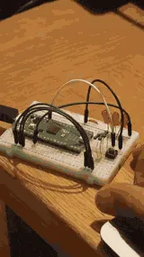 LEDs cycling with button-controlled speed