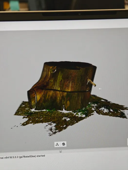 Here is a rendered version of the scan in the software