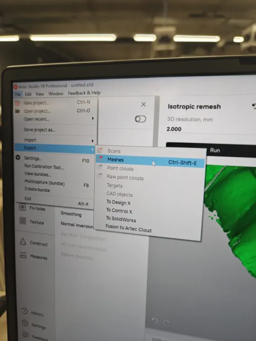 Exporting it as a mesh