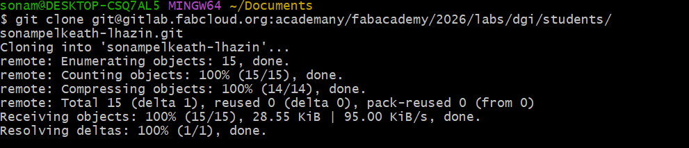 Git clone command execution