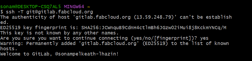 Testing SSH connection
