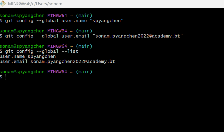 Git configuration screenshot