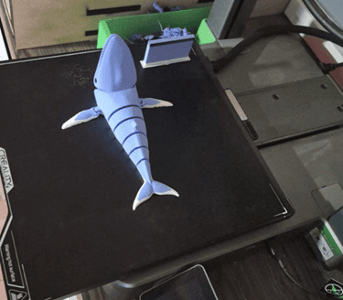 Whale final print top view