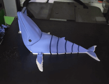 Whale final print lateral view