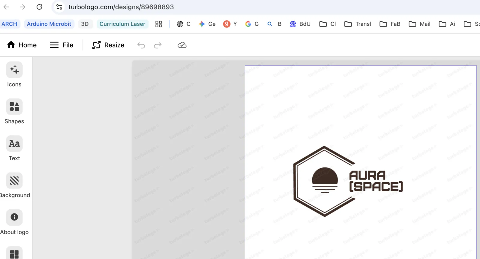Logo generator options