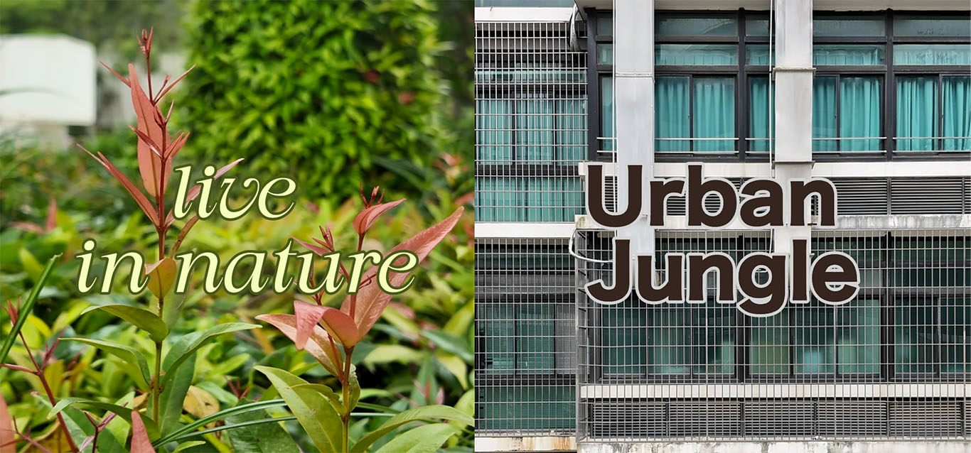 nature_urban