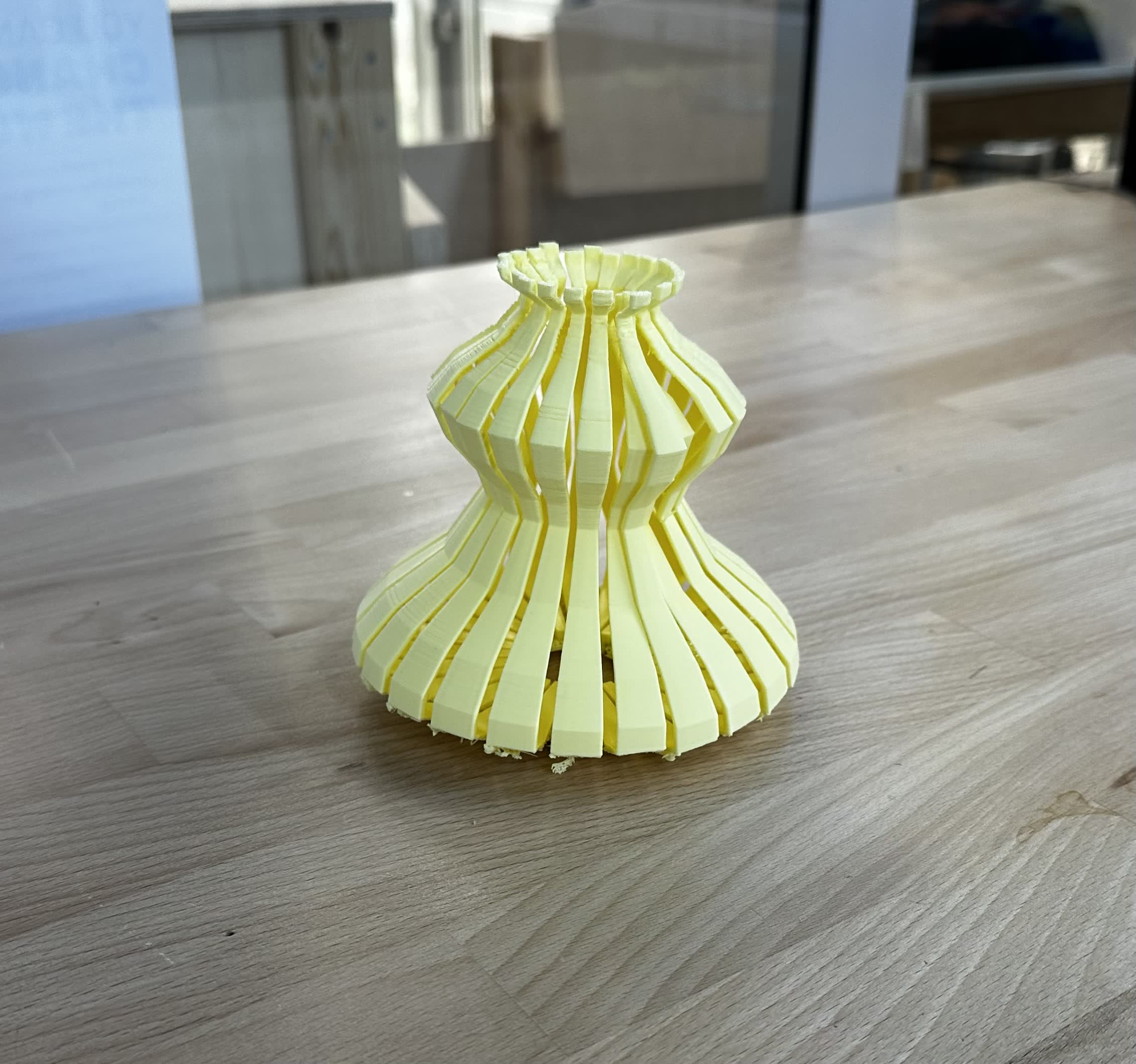 Week 5: 3D Scanning and Printing