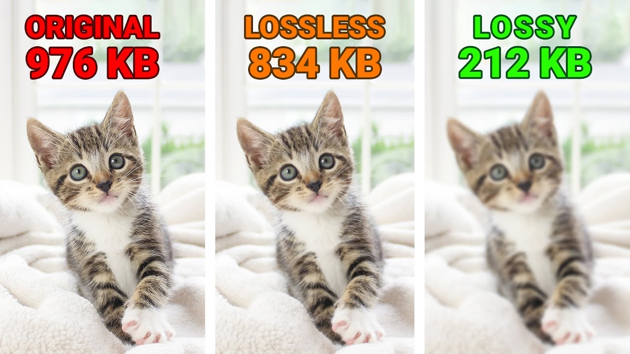Lossy vs Lossless