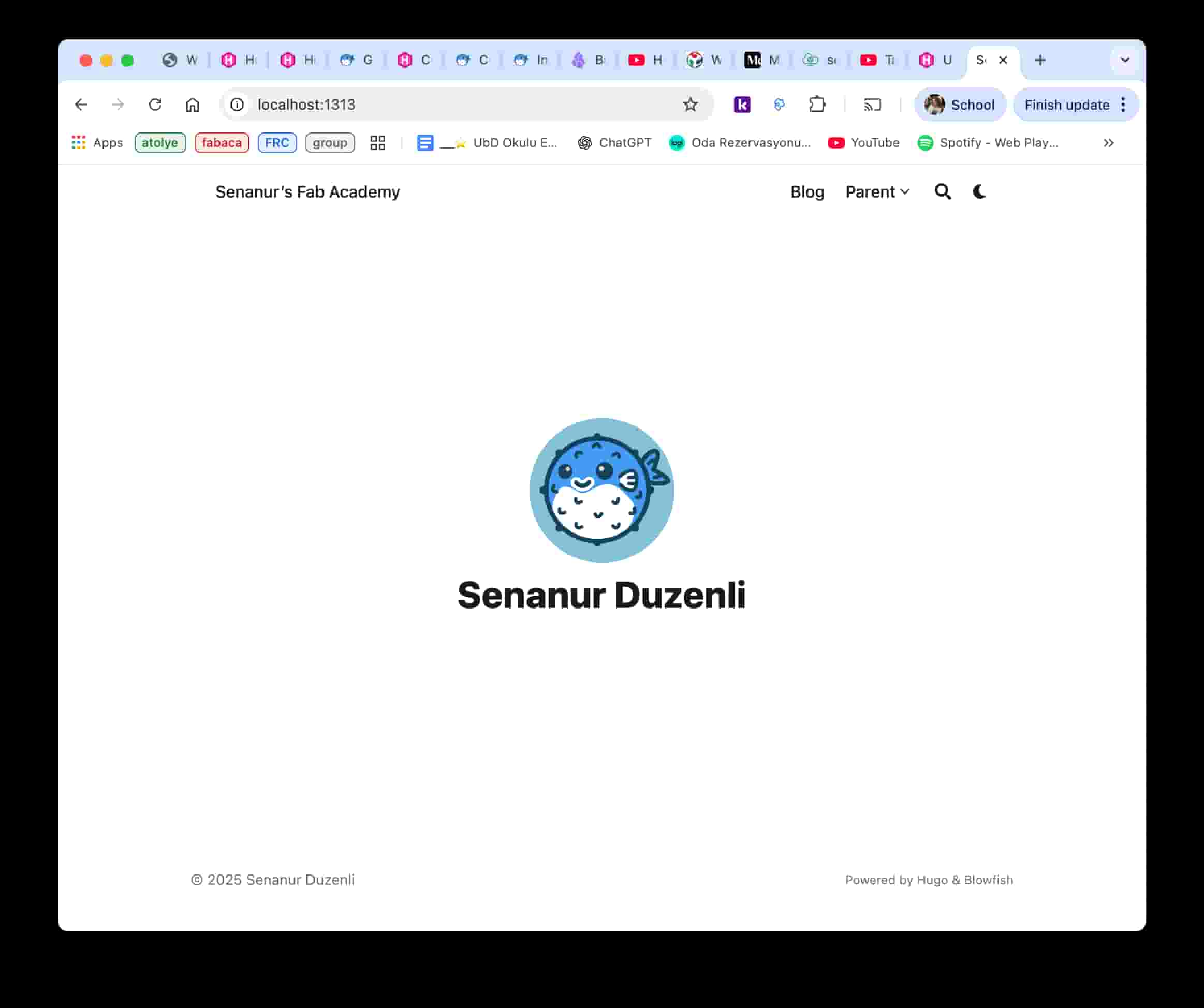 First Look at My Website