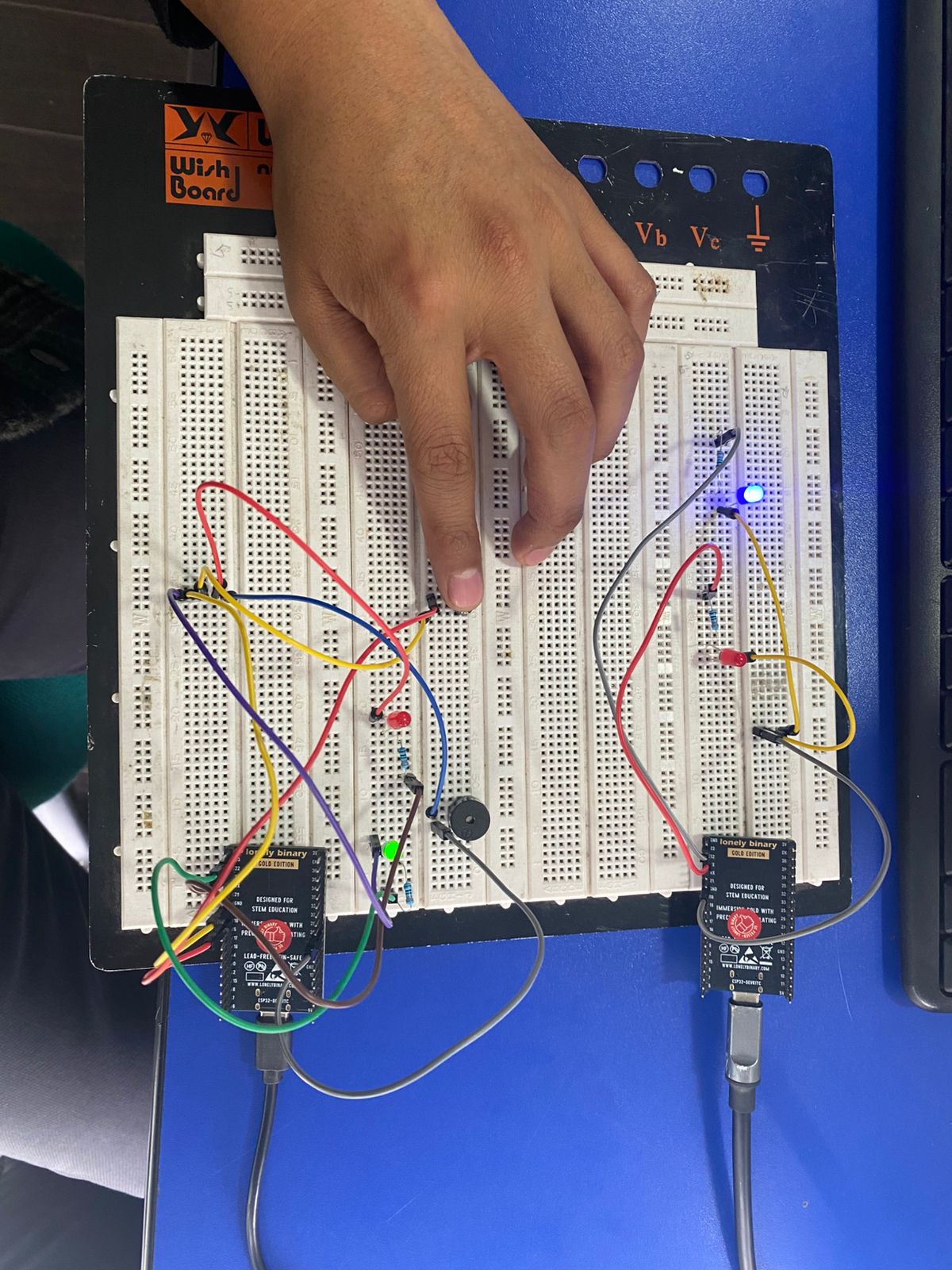 ESP32 Wireless Nodes