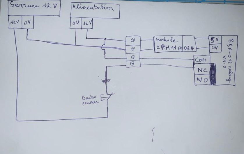 Interior door module wiring diagram