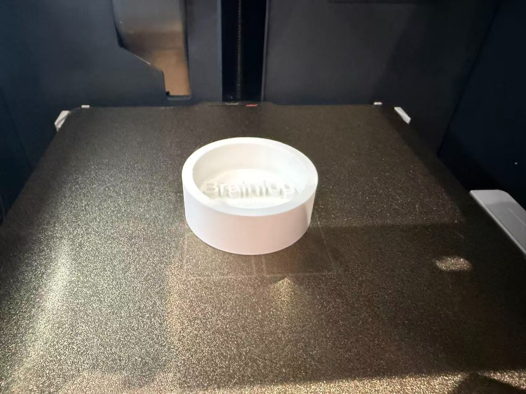 3D printed Brainfog master on the build plate