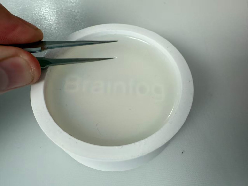 Cured silicone in the master mold with bubbles being removed