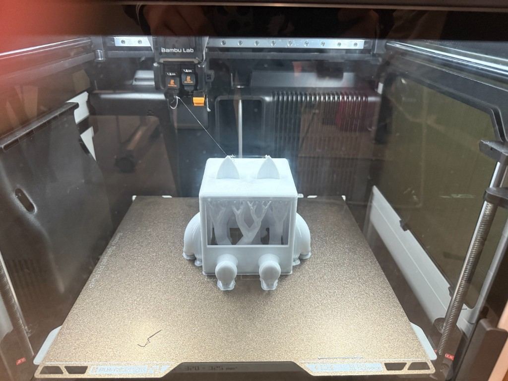Version 1 print completed inside the printer