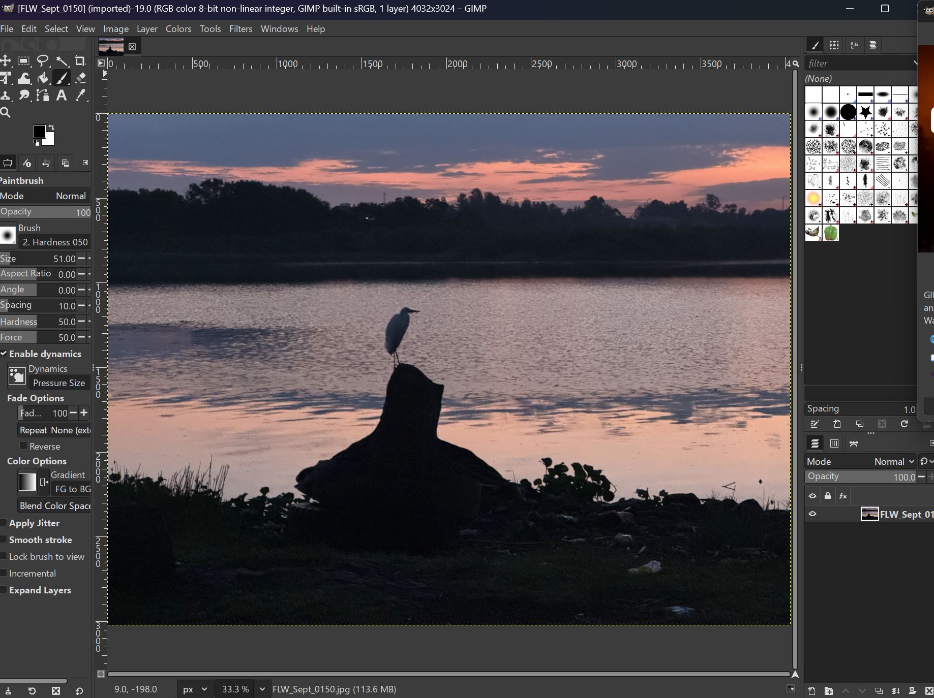 Drag and Drop into Gimp