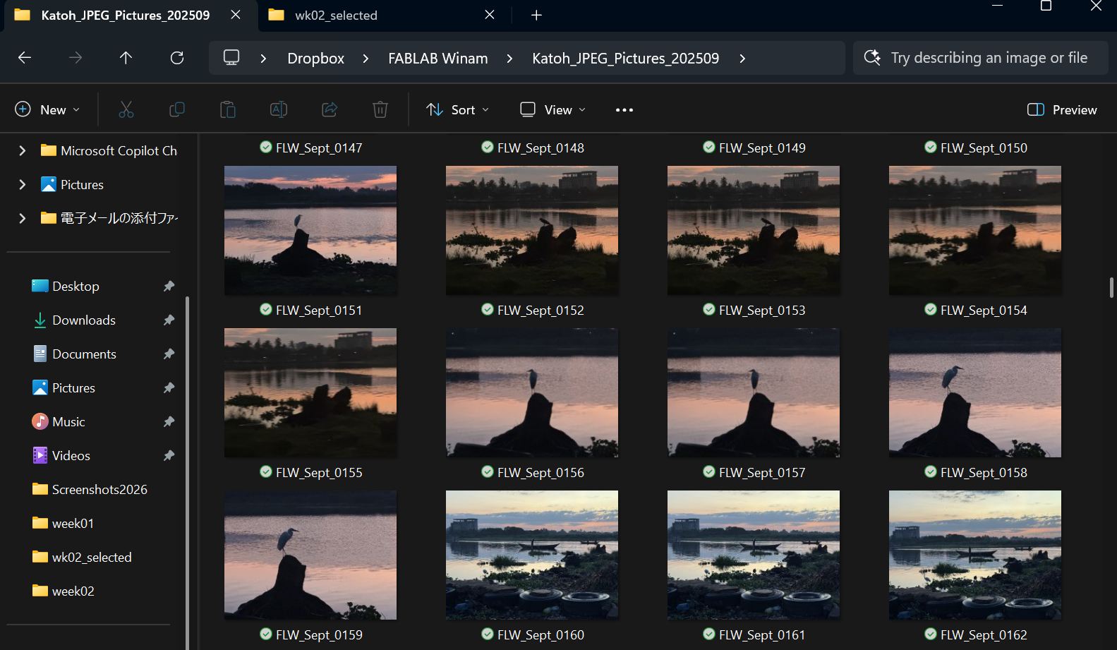choose picture by Windows explore